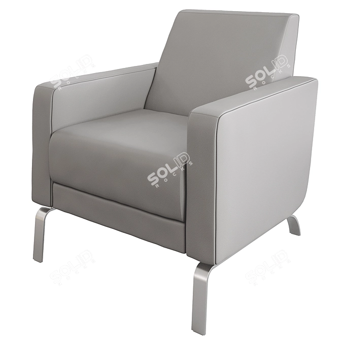 Modern Classic Fly Armchair 3D model image 1