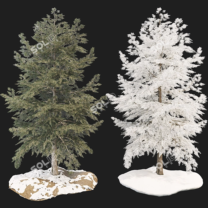 Winter Spring Tree 3D Model 3D model image 1