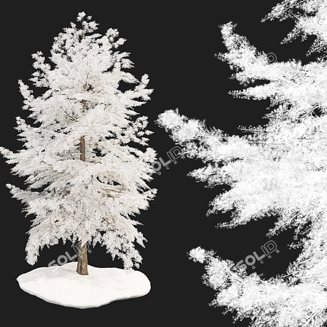 Winter Spring Tree 3D Model 3D model image 4