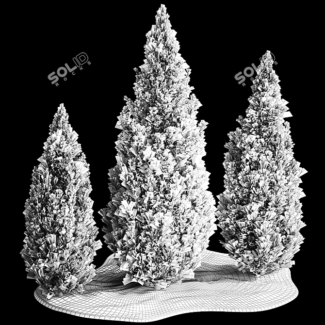 Cypress & Blue Thuja Garden Collection 3D model image 7