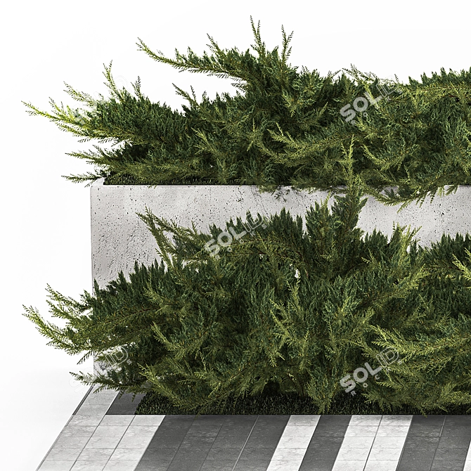 Urban Greenery Set with Concrete Bench 3D model image 3