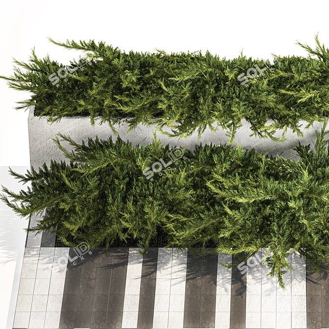 Urban Greenery Collection: Juniper & Cypress 3D model image 2