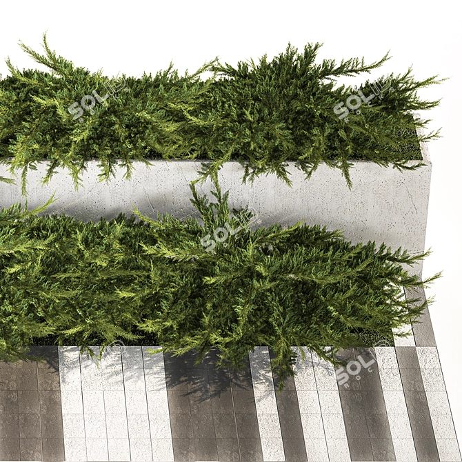 Urban Greenery Collection: Juniper & Cypress 3D model image 4