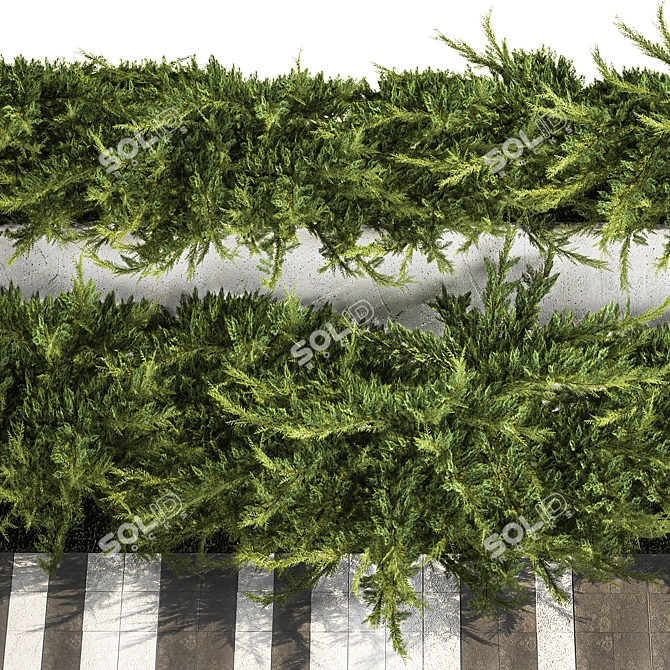 Urban Greenery Collection: Juniper & Cypress 3D model image 6