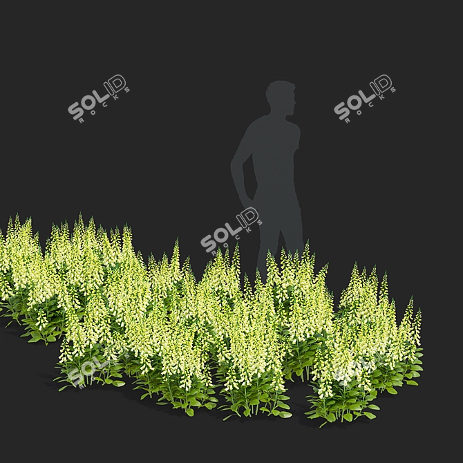 Lemoncello Digitalis Flower Collection 3D model image 2