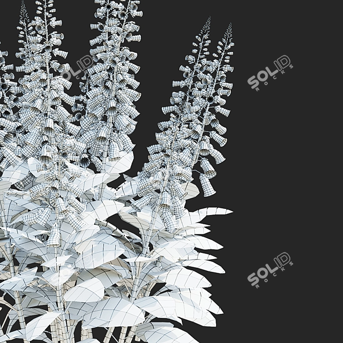 Lemoncello Digitalis Flower Collection 3D model image 7