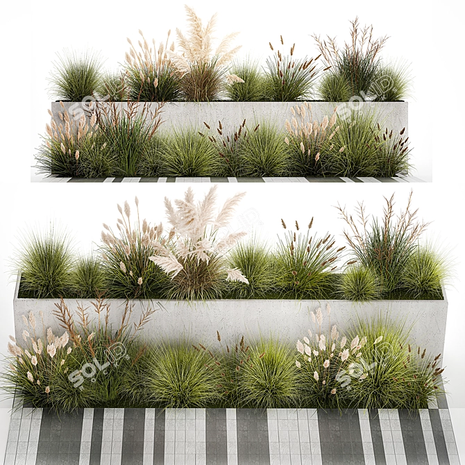 Urban Greenery Collection: Pampas Grass & Feather Grass 3D model image 1