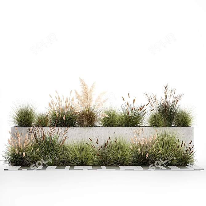 Urban Greenery Collection: Pampas Grass & Feather Grass 3D model image 2