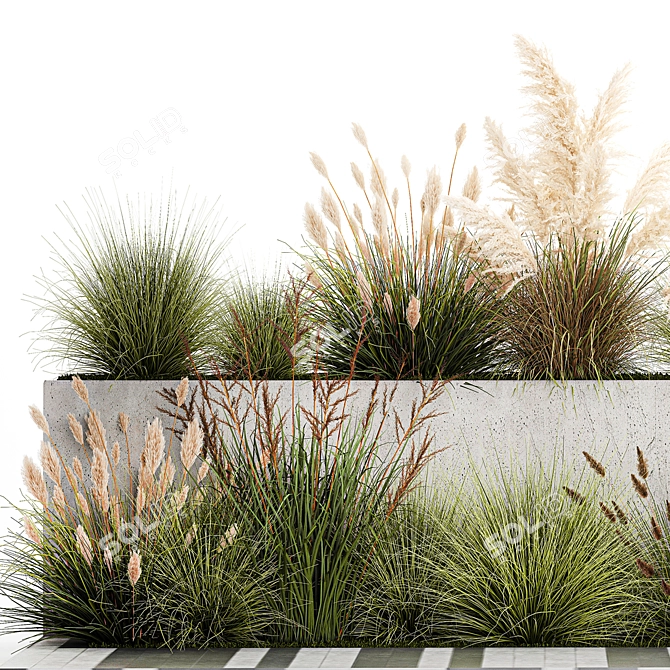 Urban Greenery Collection: Pampas Grass & Feather Grass 3D model image 3