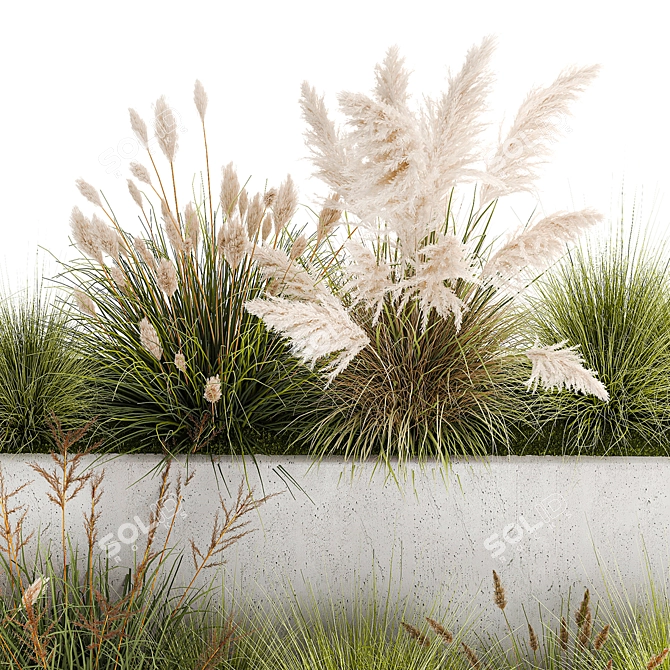 Urban Greenery Collection: Pampas Grass & Feather Grass 3D model image 6