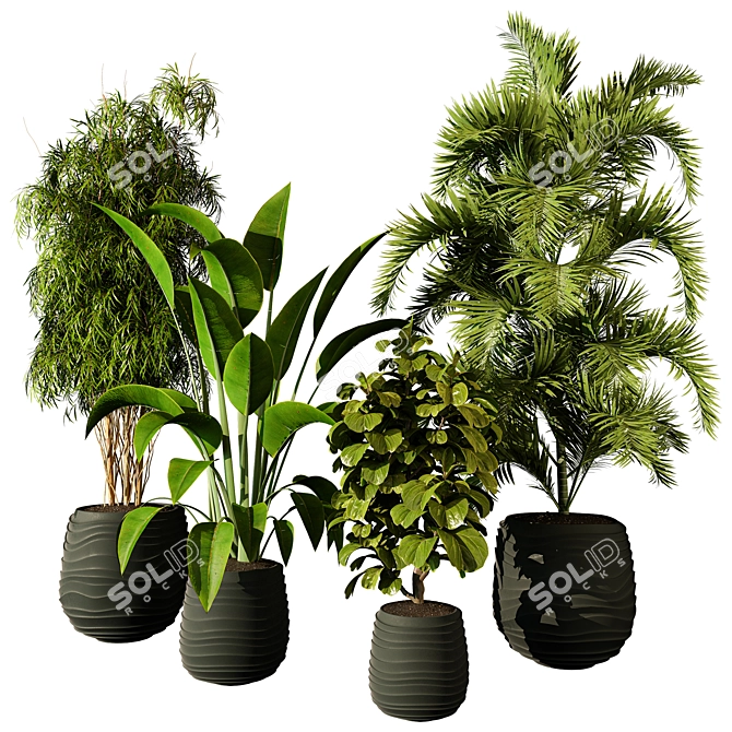 Modern Indoor Plant 223 Render 3D model image 1