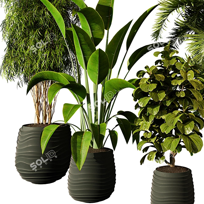 Modern Indoor Plant 223 Render 3D model image 2