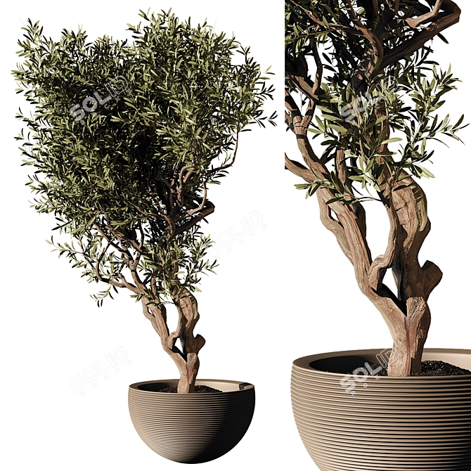 Elegant Indoor Plant Model 224 3D model image 1