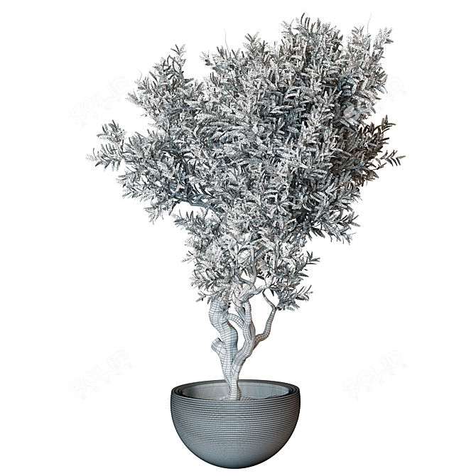 Elegant Indoor Plant Model 224 3D model image 3