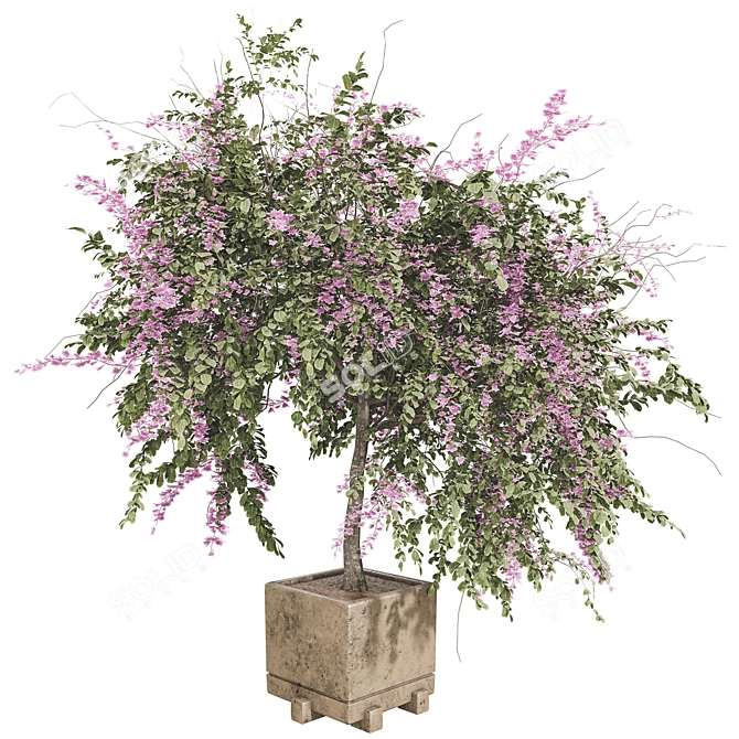  3D Plant Collection Set 3D model image 1