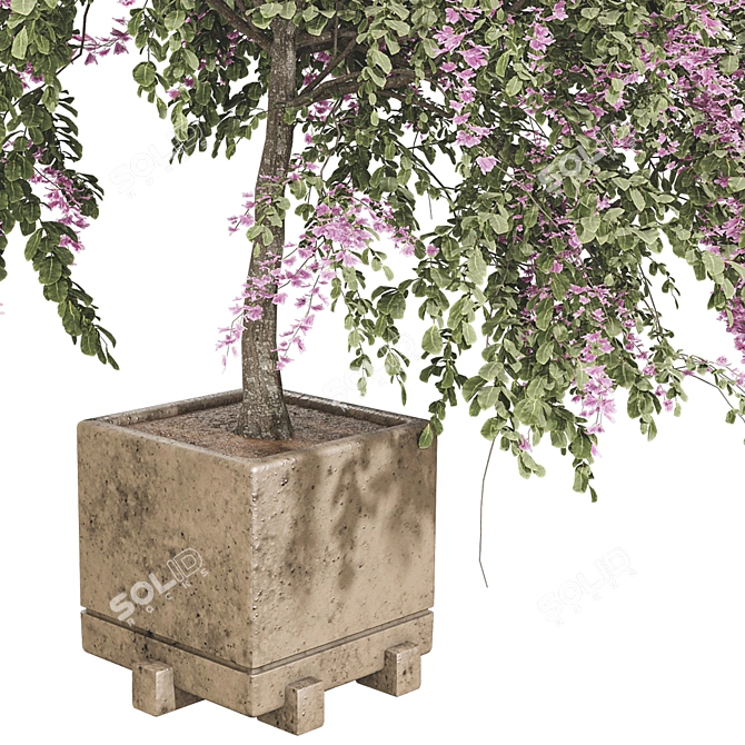  3D Plant Collection Set 3D model image 3