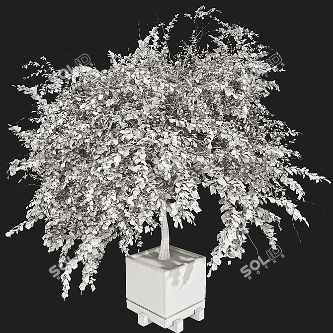  3D Plant Collection Set 3D model image 7