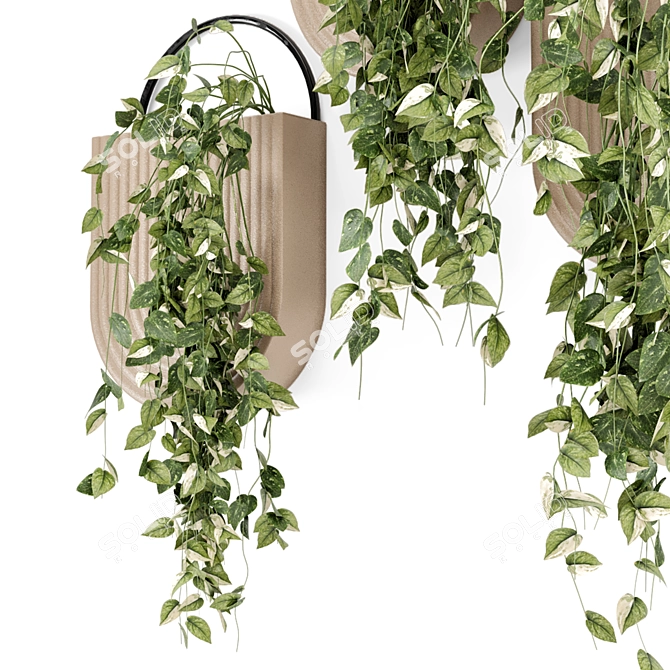 Handmade Pot Indoor Hanging Plants 3D model image 5