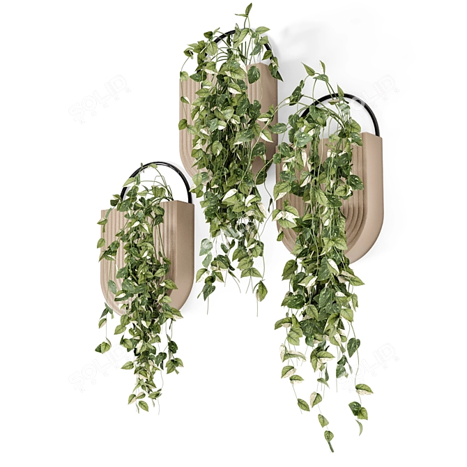 Handmade Pot Indoor Hanging Plants 3D model image 6