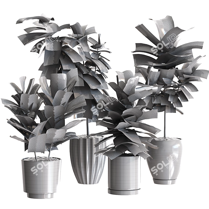 Ficus Lyrata Plant Bundle 3D model image 2