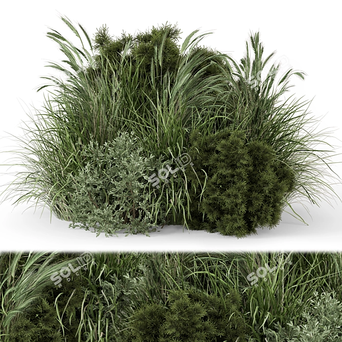 Outdoor Bush Collection - 3D Models 3D model image 4