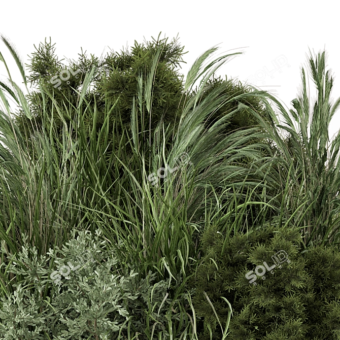 Outdoor Bush Collection - 3D Models 3D model image 6