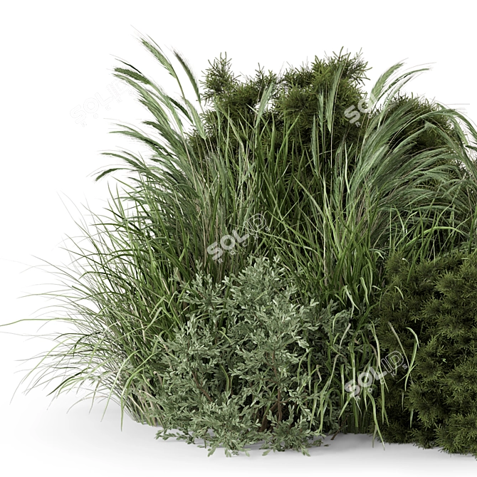 Outdoor Bush Collection - 3D Models 3D model image 7