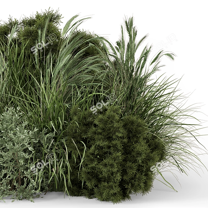 Outdoor Bush Collection - 3D Models 3D model image 1