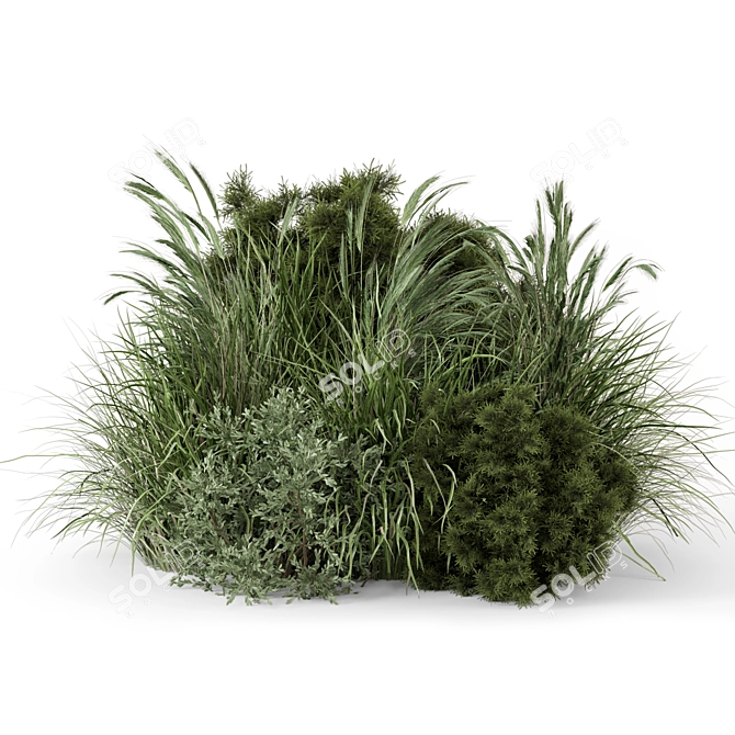 Outdoor Bush Collection - 3D Models 3D model image 2