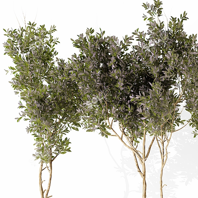 2015 Outdoor Plant 203 Model 3D model image 2