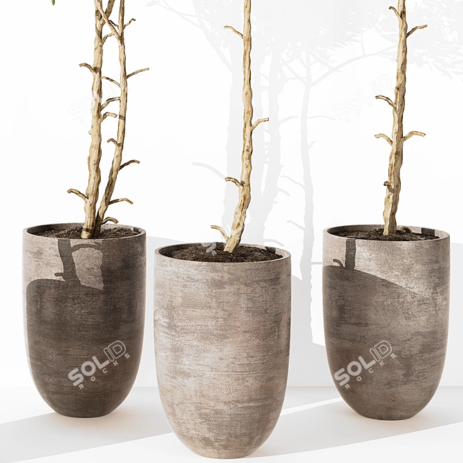 2015 Outdoor Plant 203 Model 3D model image 3