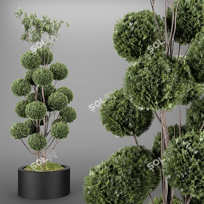 Elegant Indoor/Outdoor Decorative Tree 3D model image 2