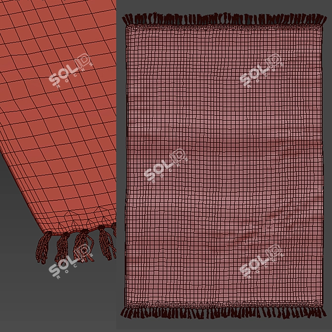 Triba Cotton Rug by La Redoute 3D model image 13