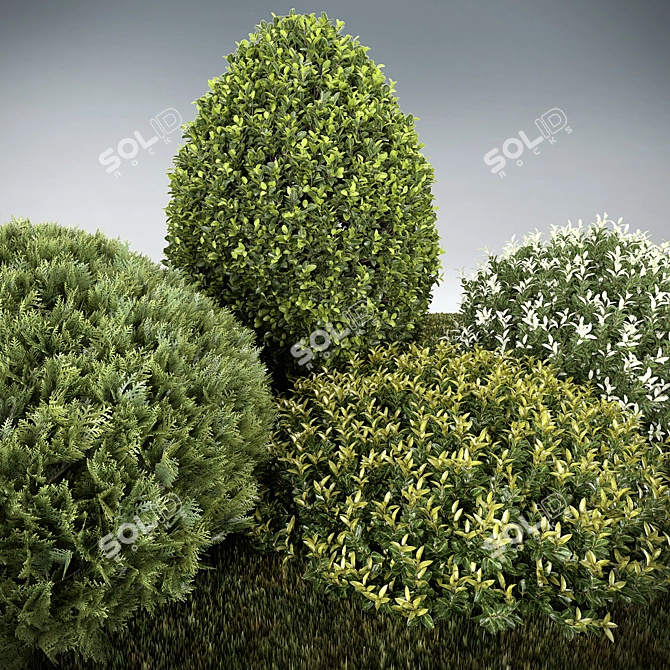 Outdoor Greenery Collection 3D model image 7