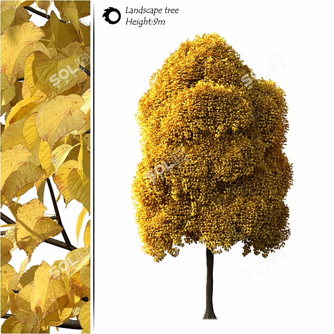 Artistic Tree Model for 3D 3D model image 1