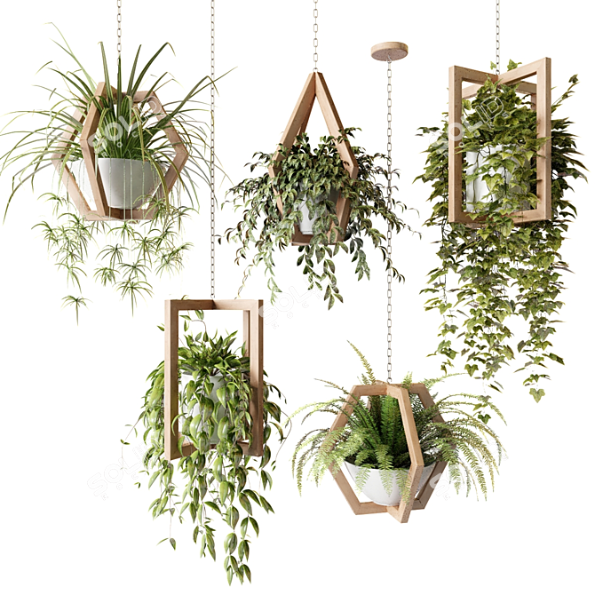 Wooden Hanging Planters with Trailing Plants 3D model image 1