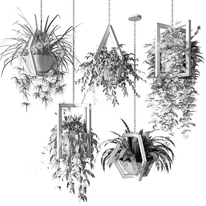 Wooden Hanging Planters with Trailing Plants 3D model image 2