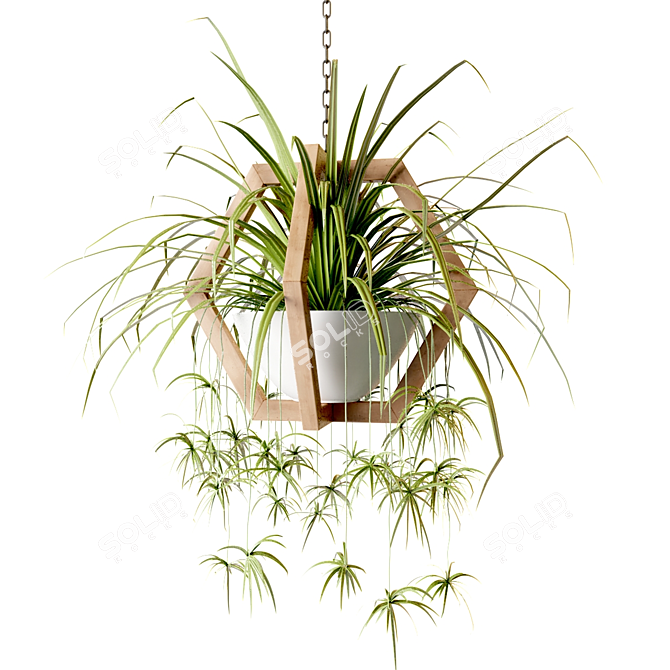 Wooden Hanging Planters with Trailing Plants 3D model image 3