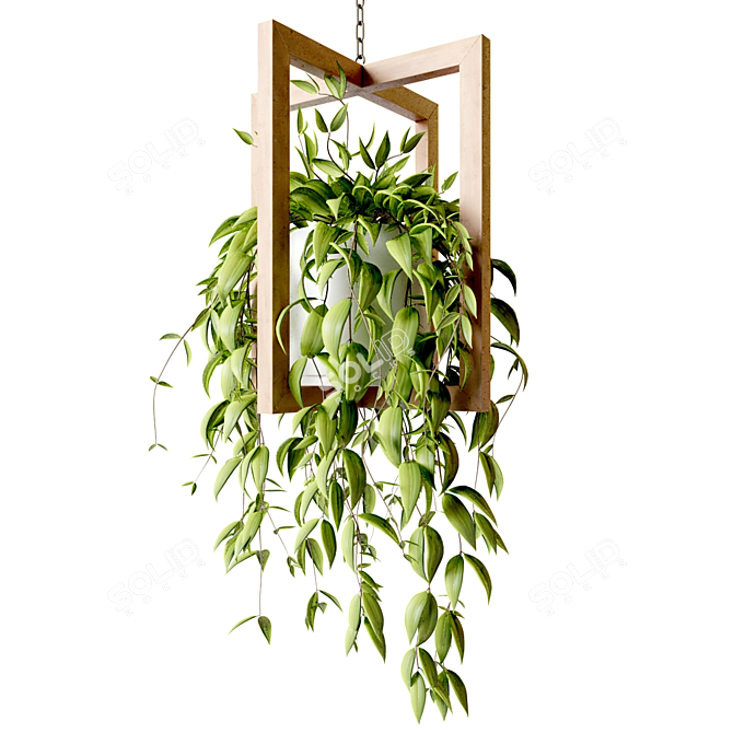 Wooden Hanging Planters with Trailing Plants 3D model image 4