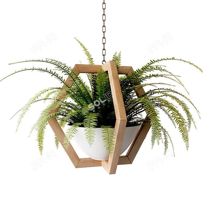 Wooden Hanging Planters with Trailing Plants 3D model image 5