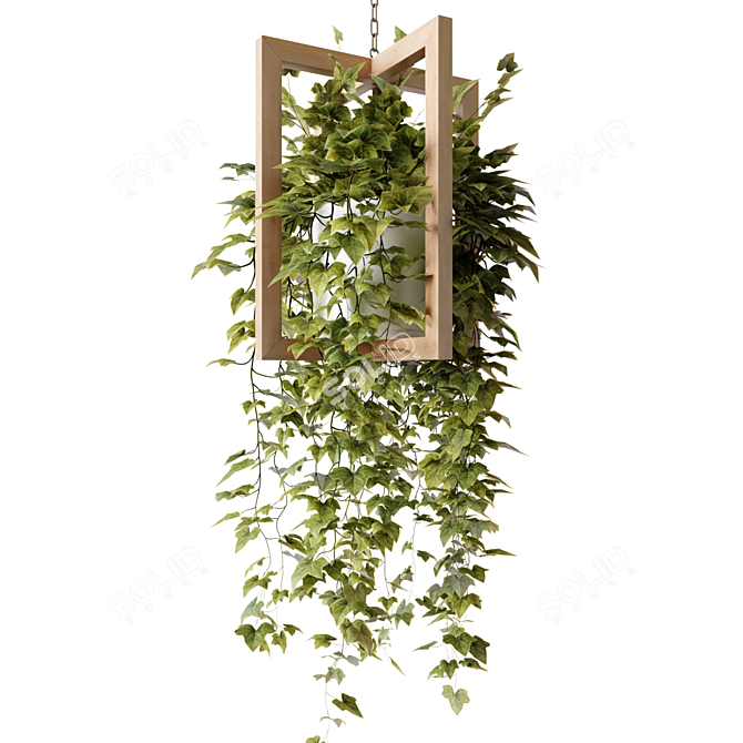 Wooden Hanging Planters with Trailing Plants 3D model image 6