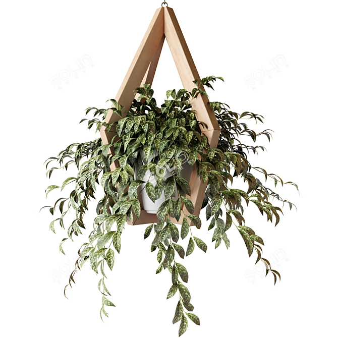 Wooden Hanging Planters with Trailing Plants 3D model image 7