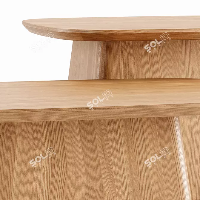 Elegant NITA Coffee Tables Set 3D model image 3