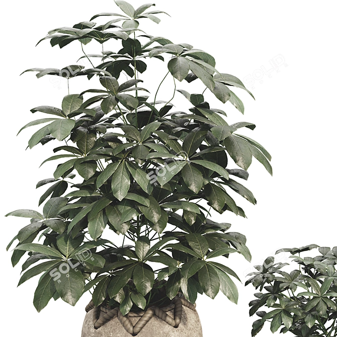 48-Piece Umbrella Tree Plant Collection 3D model image 3