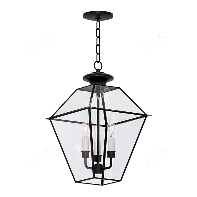 Livex Lighting Westover Outdoor Pendant 3D model image 1