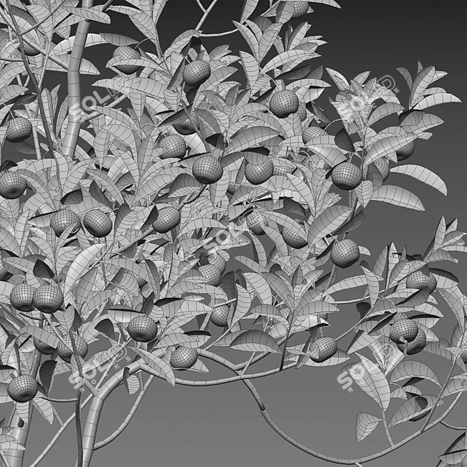 Versatile 3D Plant Models Bundle 3D model image 4