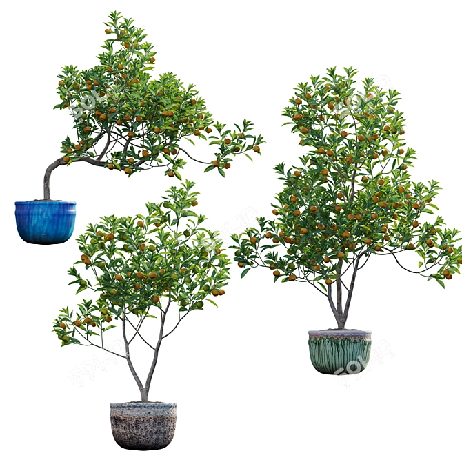 Versatile 3D Plant Models Bundle 3D model image 5
