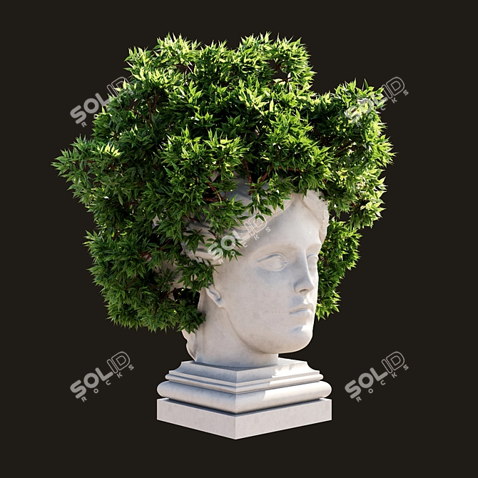 Translated Description: "Pot with a flower instead of 'hair'"
Title:  Flower Pot Hair Planter 3D model image 4