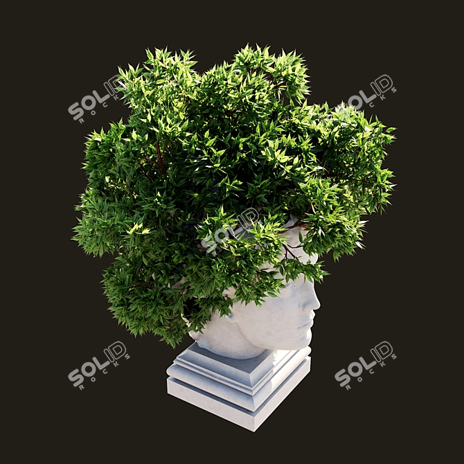 Translated Description: "Pot with a flower instead of 'hair'"
Title:  Flower Pot Hair Planter 3D model image 5