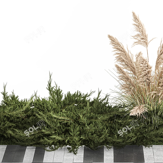 Урбанистический Набор Городской Зелени 3D model image 5